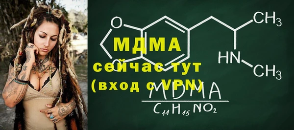 индика Алексин