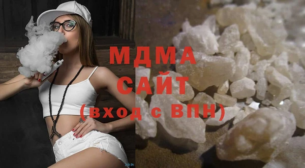 индика Алексин