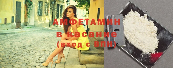 индика Алексин