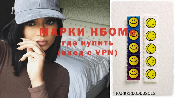 индика Алексин