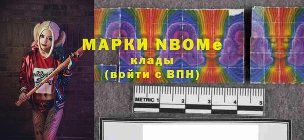 соль ск Елабуга