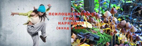 а пвп мука Алексеевка