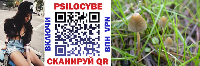 MEGA онион  Куса  Псилоцибиновые грибы мицелий 